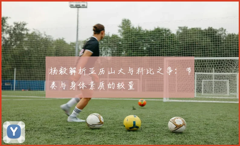杨毅解析亚历山大与科比之争：节奏与身体素质的较量
